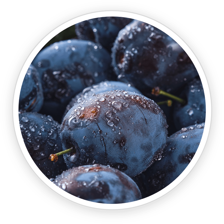 Prune